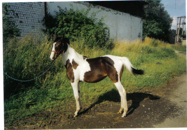 Lucy miminko.jpg